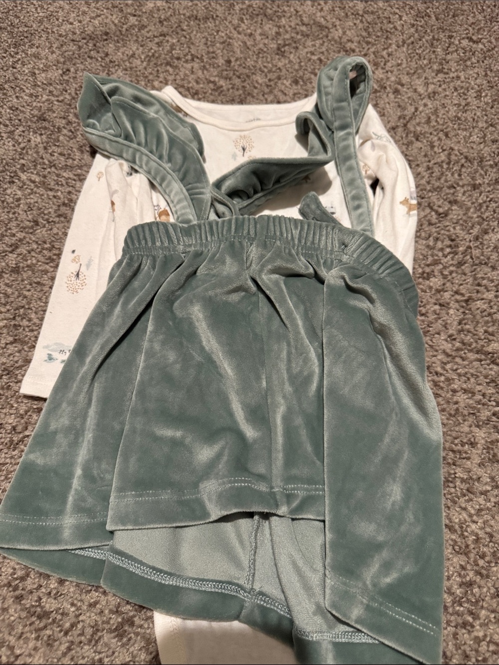 4 pc Dress Bundle - Cream Floral, Sage Green, Black Velvet - Picture 6 of 8